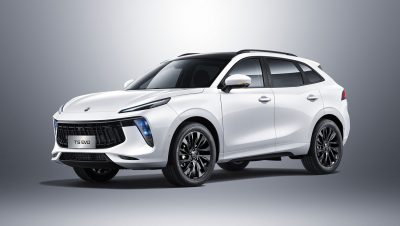 Stylish and Dynamic