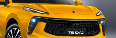 Wild Front Grille Design